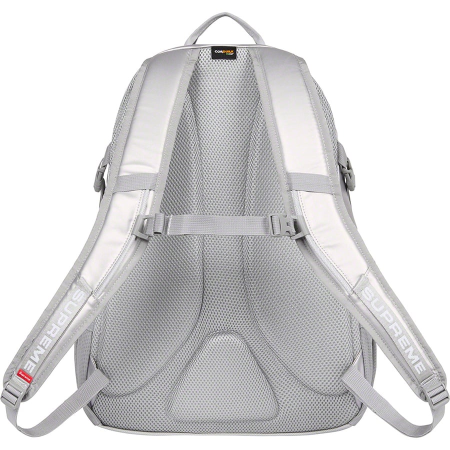 Details on Backpack Silver from fall winter
                                                    2022 (Price is $158)