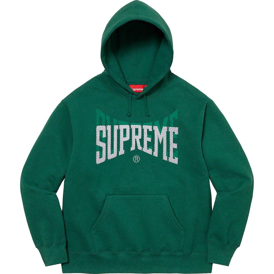 Details on Rhinestone Shadow Hooded Sweatshirt Dark Green from fall winter
                                                    2022 (Price is $168)