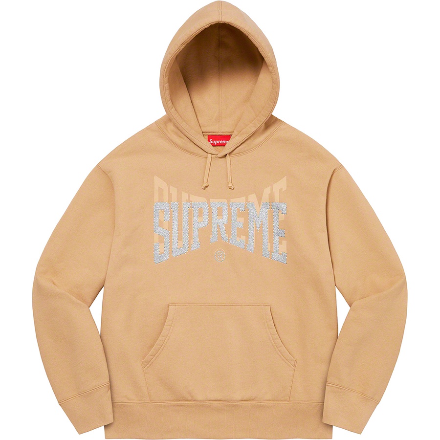 Details on Rhinestone Shadow Hooded Sweatshirt Dark Tan from fall winter
                                                    2022 (Price is $168)