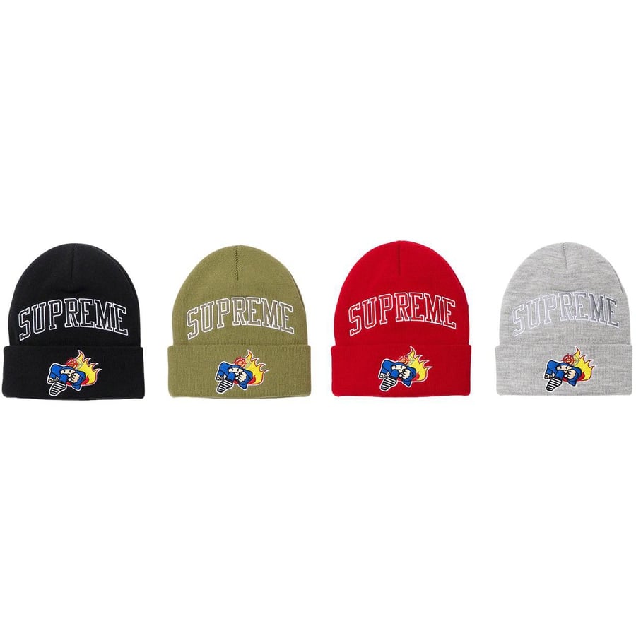 Details on Duck Down Records Beanie from fall winter
                                            2022 (Price is $40)