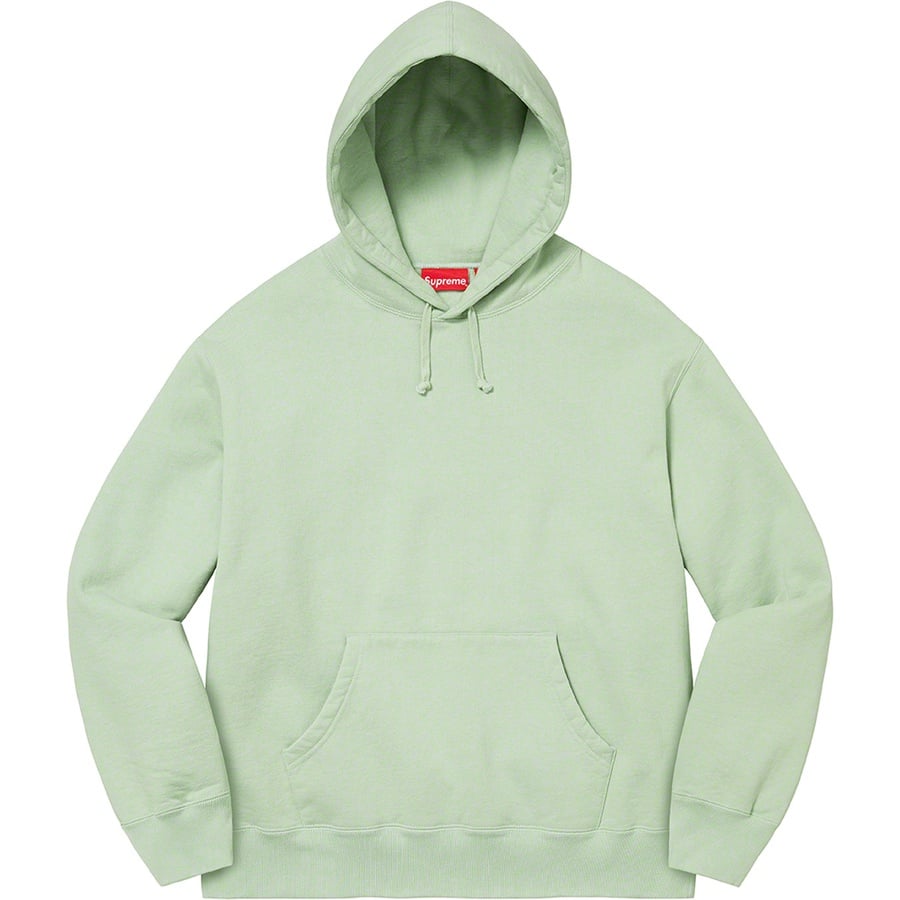 Details on Satin Appliqué Hooded Sweatshirt Mint from fall winter 2022 (Price is $158)