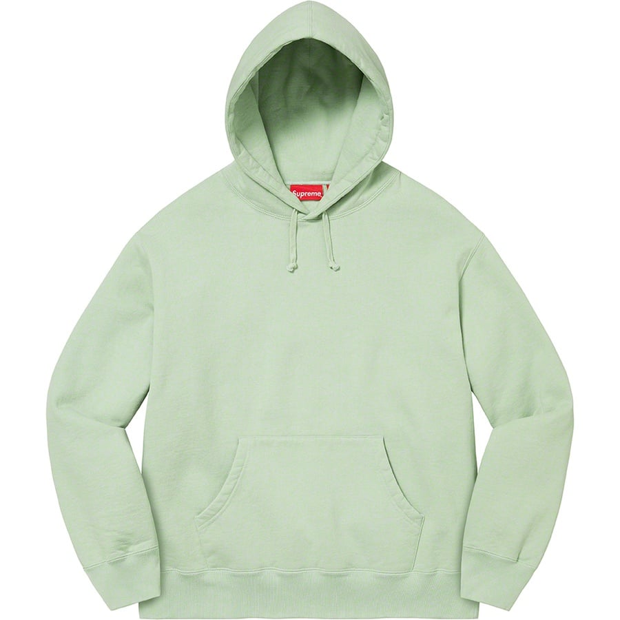 Details on Satin Appliqué Hooded Sweatshirt Mint from fall winter
                                                    2022 (Price is $158)