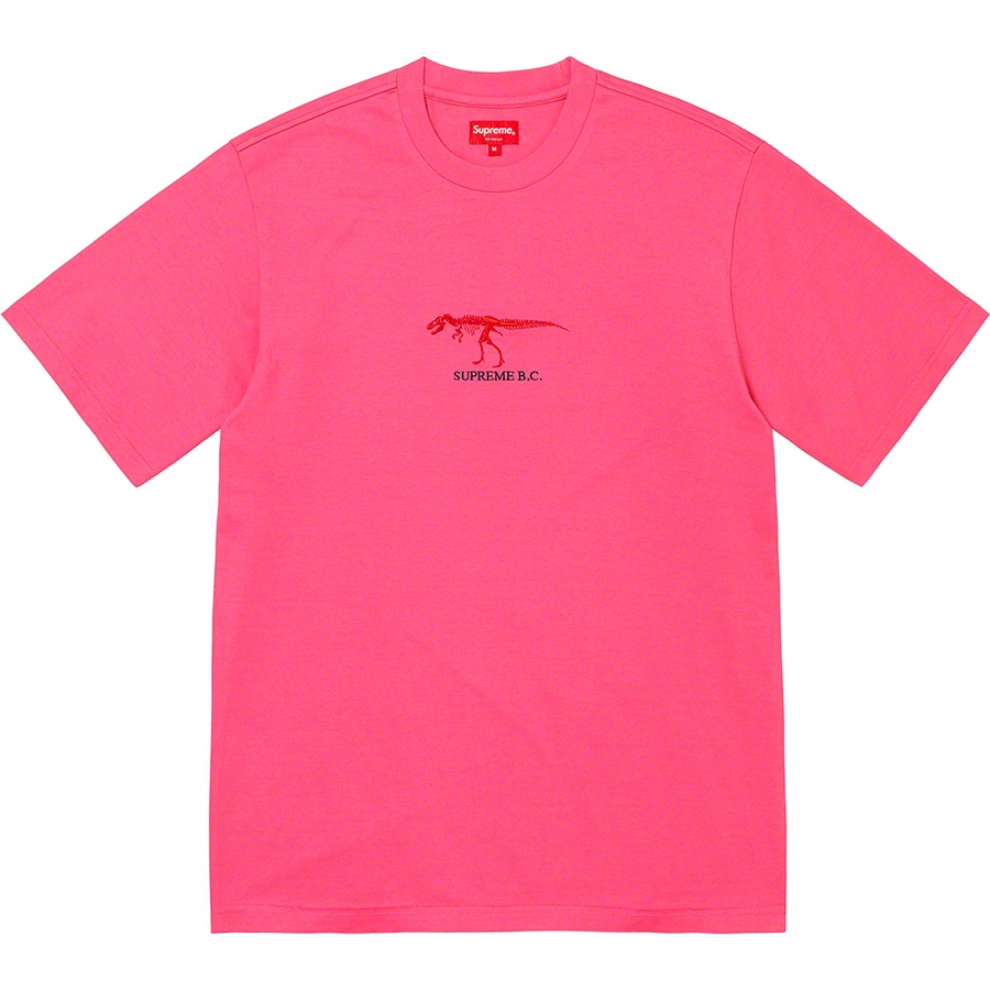 Details on B.C. S S Top Bright Pink from fall winter
                                                    2022 (Price is $68)