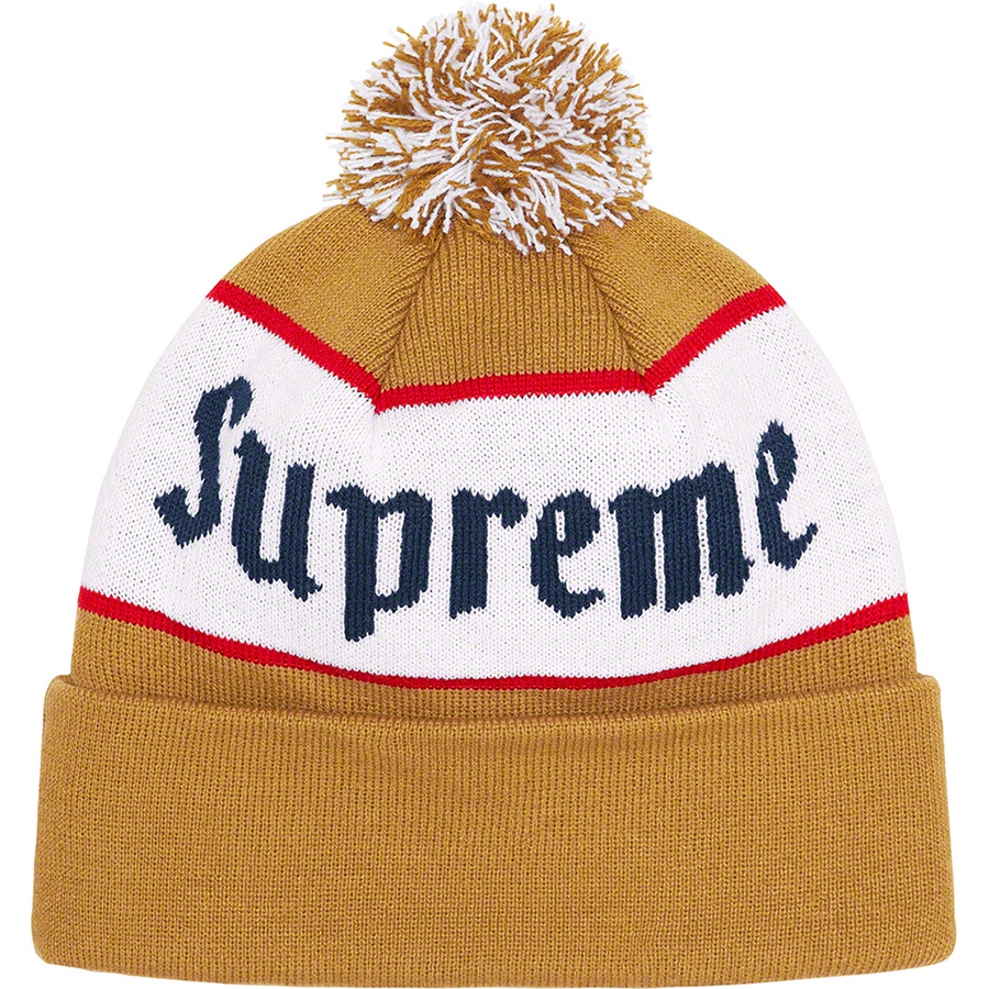 Details on Alpine Beanie Mustard from fall winter
                                                    2022 (Price is $40)