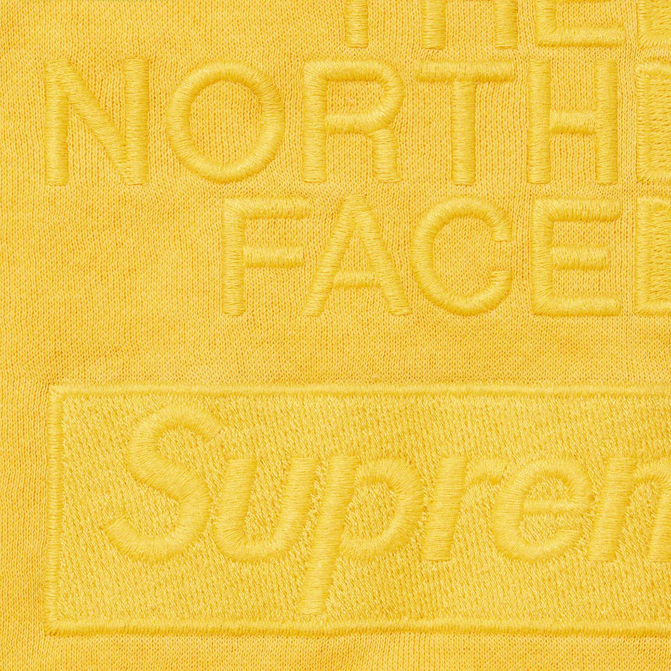 Buy Supreme®/The North Face® Pigment Printed Hoodie (Black) Online