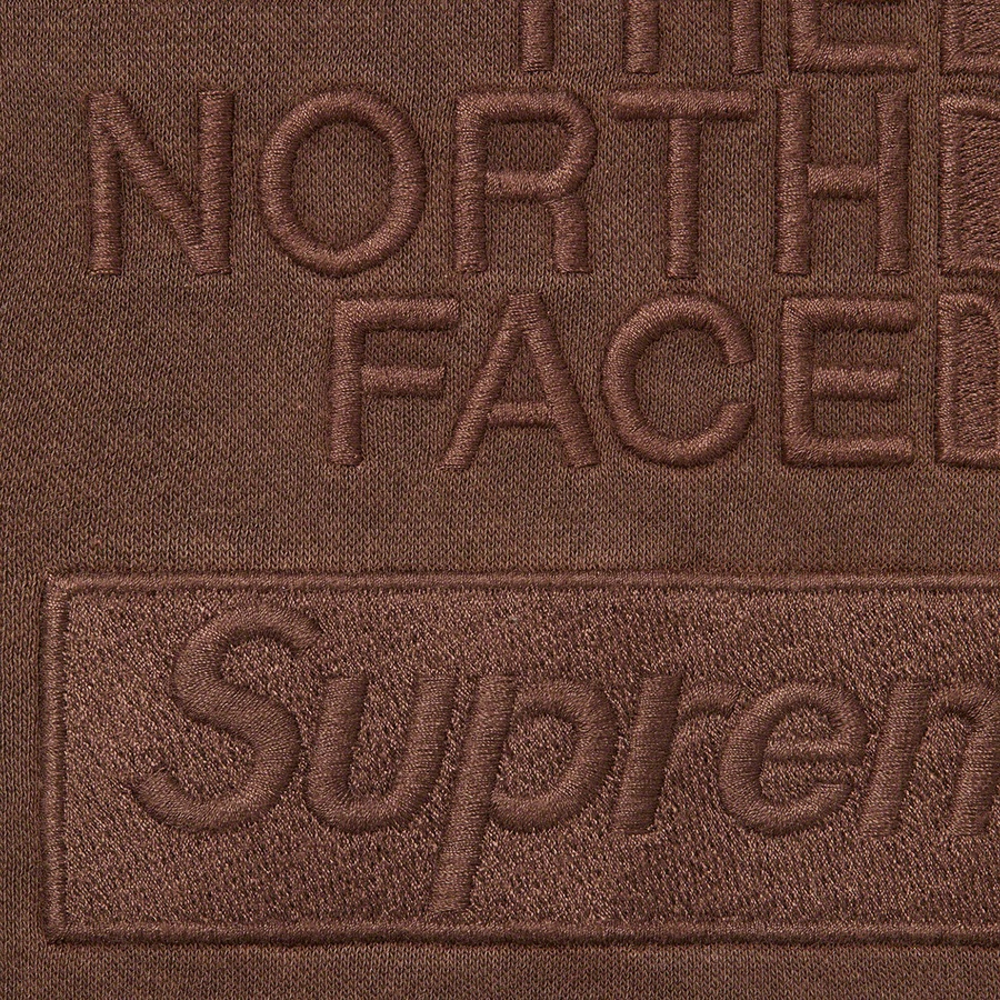 Details on Supreme The North Face Pigment Printed Hooded Sweatshirt Brown from fall winter 2022 (Price is $138)