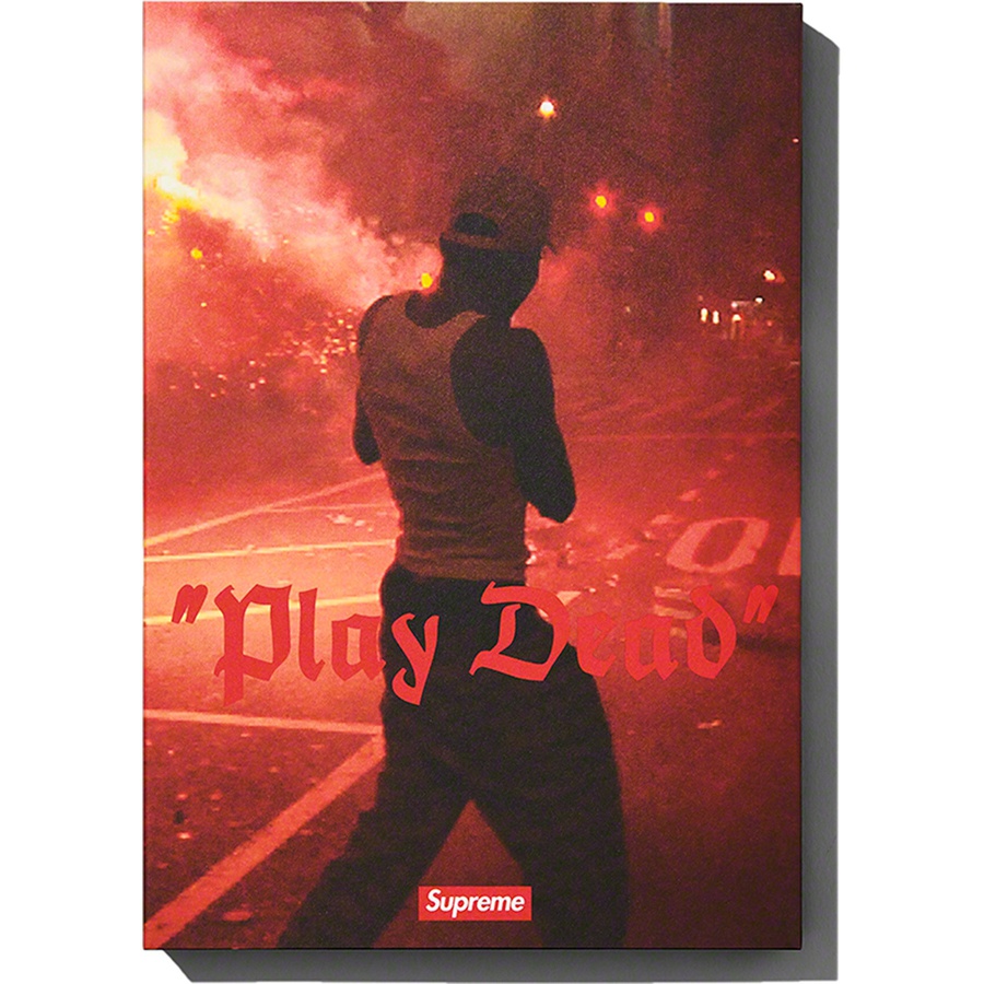 Details on "Play Dead" Book Multicolor from fall winter
                                                    2022 (Price is $28)
