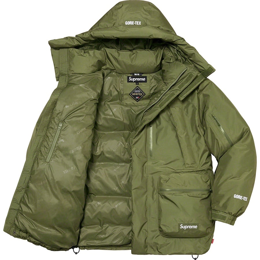 Details on GORE-TEX 700-Fill Down Parka Olive from fall winter
                                                    2022 (Price is $568)