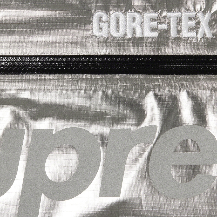 Details on GORE-TEX 700-Fill Down Parka Silver from fall winter
                                                    2022 (Price is $568)