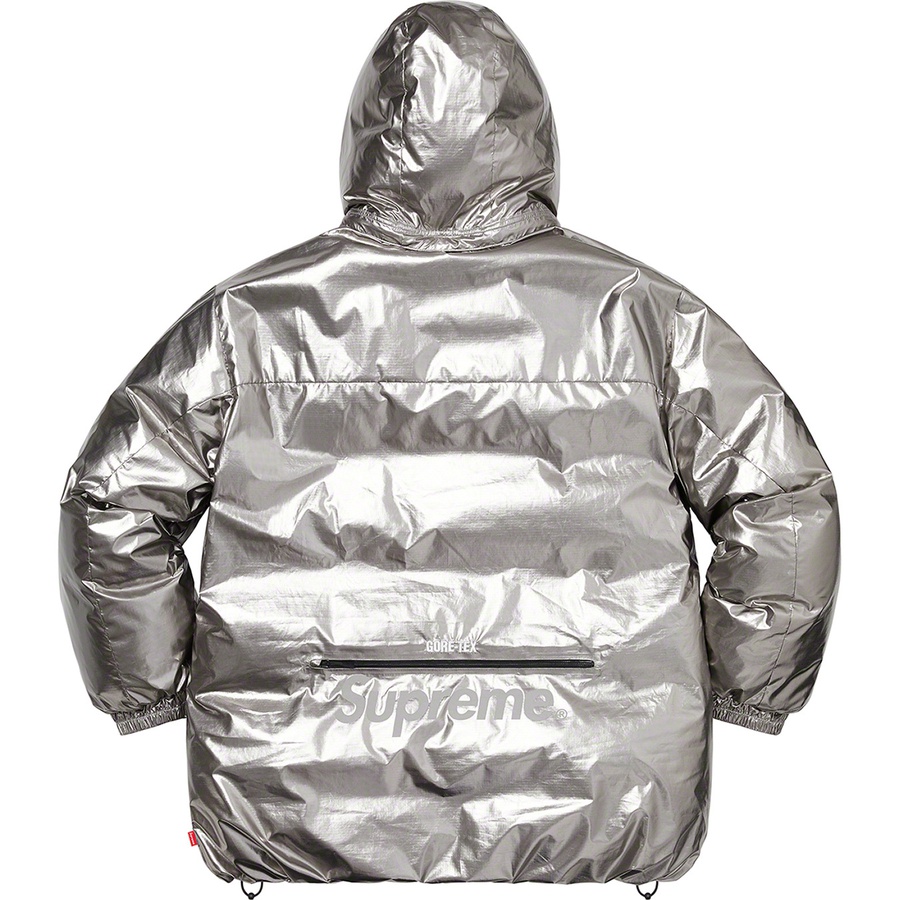 Details on GORE-TEX 700-Fill Down Parka Silver from fall winter
                                                    2022 (Price is $568)