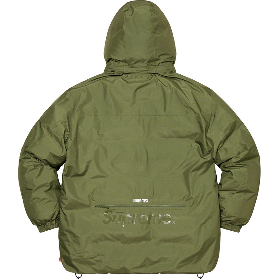 Details on GORE-TEX 700-Fill Down Parka Olive from fall winter
                                                    2022 (Price is $568)