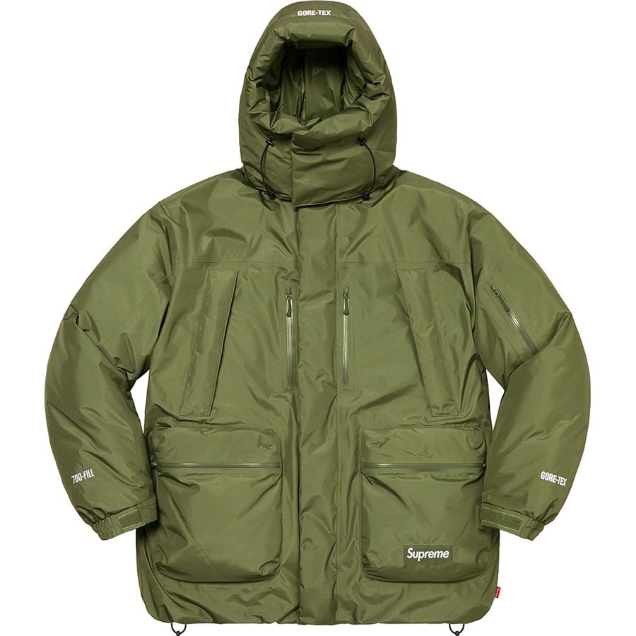 Details on GORE-TEX 700-Fill Down Parka Olive from fall winter
                                                    2022 (Price is $568)