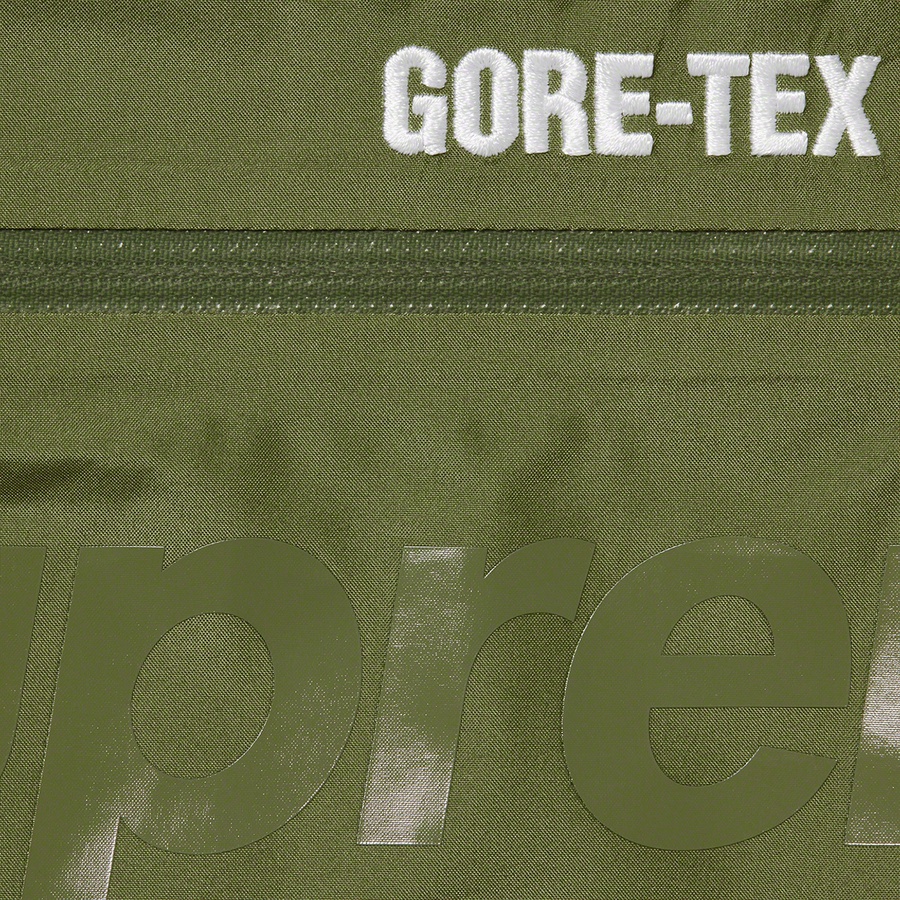 Details on GORE-TEX 700-Fill Down Parka Olive from fall winter
                                                    2022 (Price is $568)