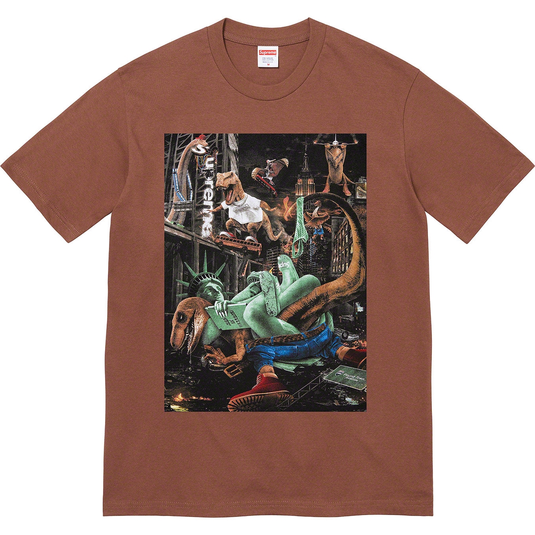 Details on T-Rex Tee Brown from spring summer 2023 (Price is $40)