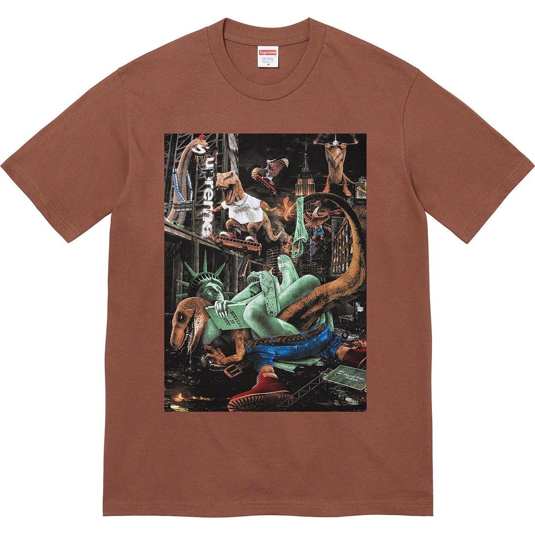 Details on T-Rex Tee Brown from spring summer
                                                    2023 (Price is $40)