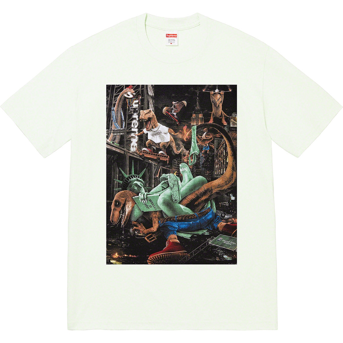 Details on T-Rex Tee Pale Green from spring summer
                                                    2023 (Price is $40)