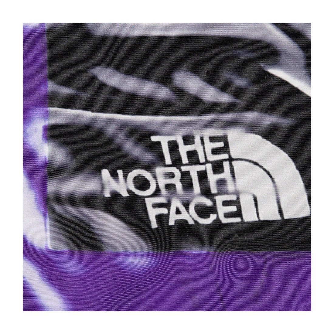 Details on Supreme The North Face Trompe L’oeil Printed Taped Seam Shell Jacket Purple from spring summer
                                                    2023 (Price is $398)