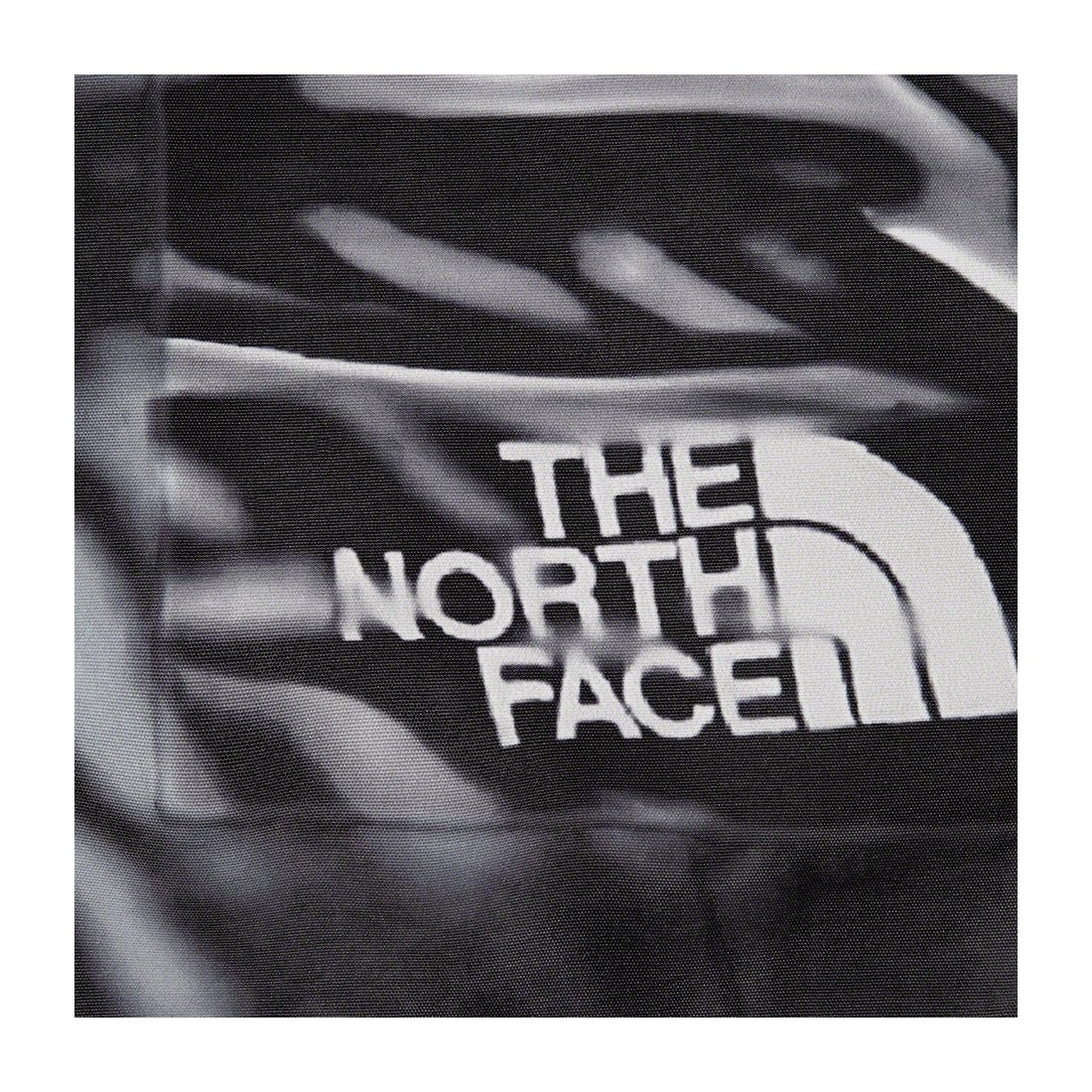Details on Supreme The North Face Trompe L’oeil Printed Taped Seam Shell Jacket Black from spring summer
                                                    2023 (Price is $398)