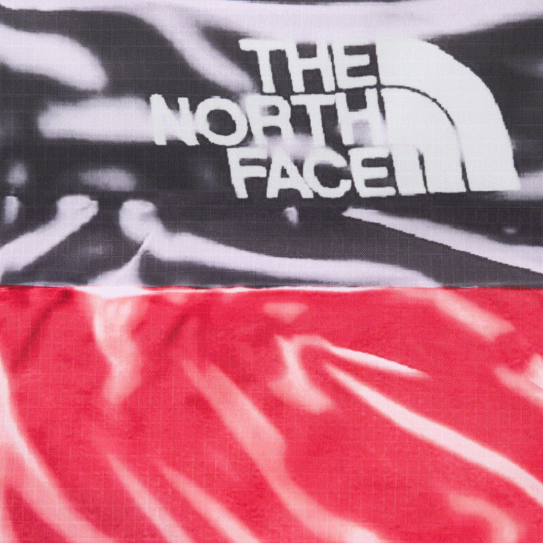 Details on Supreme The North Face Trompe L’oeil Printed Nuptse Jacket Red from spring summer
                                                    2023 (Price is $398)