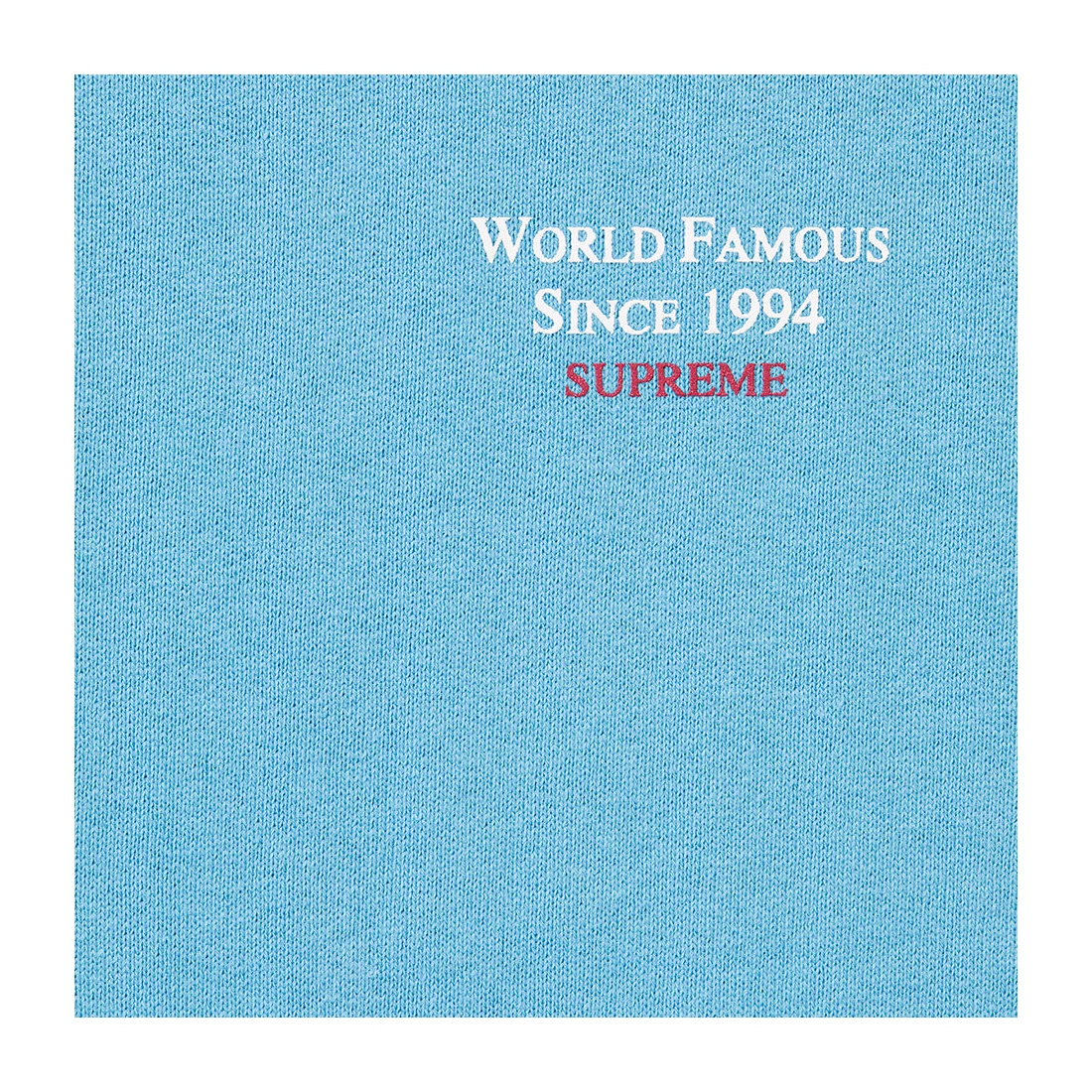 Details on World Famous Micro Hooded Sweatshirt Light Blue from spring summer
                                                    2023 (Price is $158)