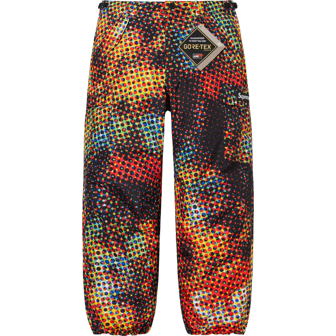 Details on GORE-TEX PACLITE Cargo Pant Multicolor from spring summer
                                                    2023 (Price is $238)