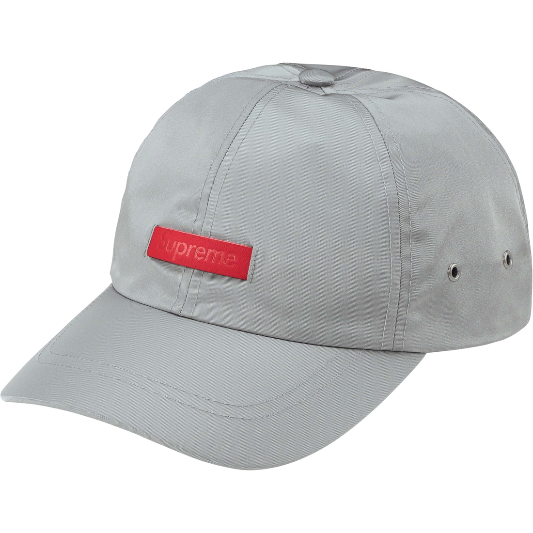 Details on Leather Patch 6-Panel Grey from spring summer
                                                    2023 (Price is $54)