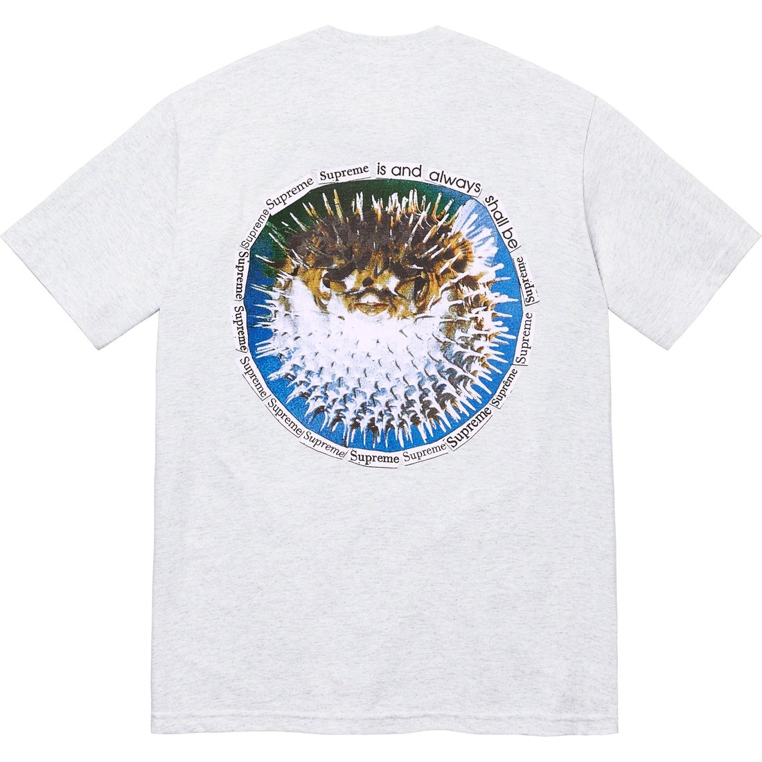 Details on Blowfish Tee Ash Grey from spring summer
                                                    2023 (Price is $40)