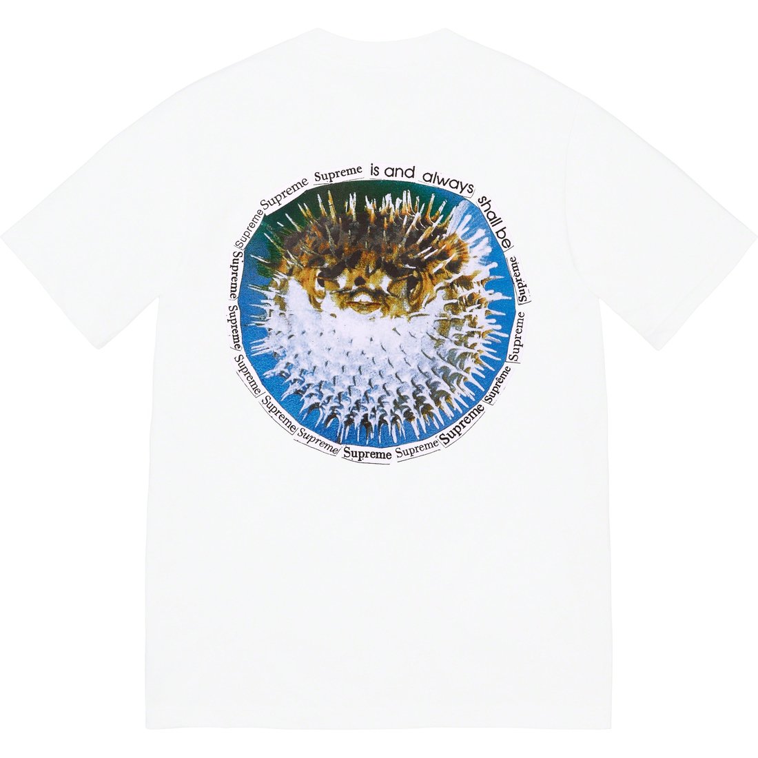 Details on Blowfish Tee White from spring summer
                                                    2023 (Price is $40)