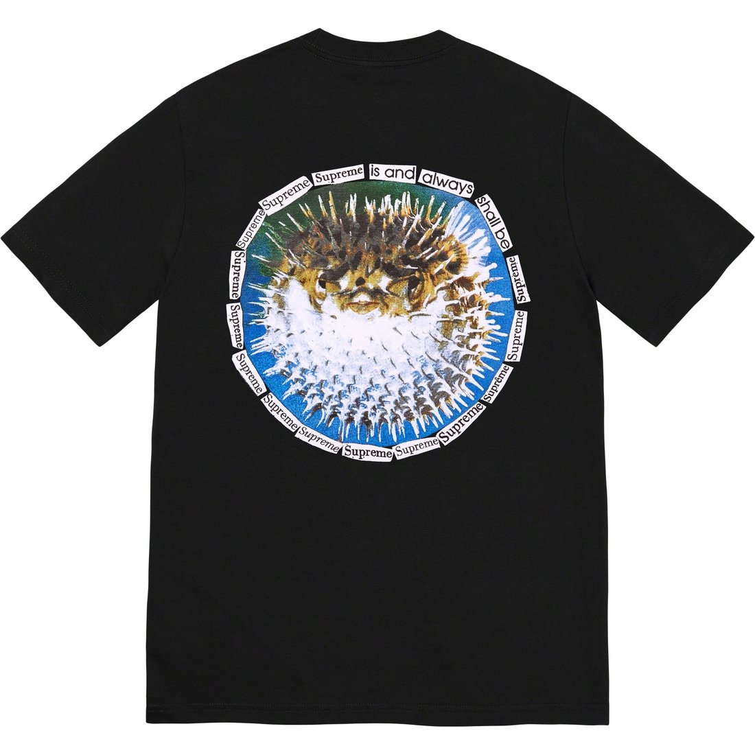 Details on Blowfish Tee Black from spring summer
                                                    2023 (Price is $40)