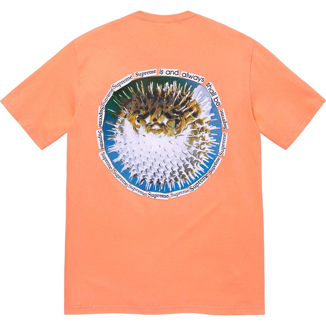 Details on Blowfish Tee Peach from spring summer
                                                    2023 (Price is $40)