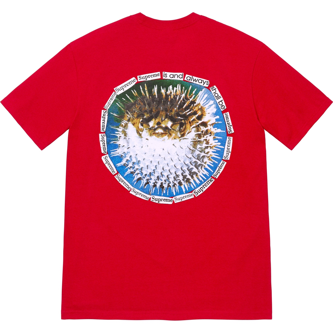 Details on Blowfish Tee Red from spring summer
                                                    2023 (Price is $40)