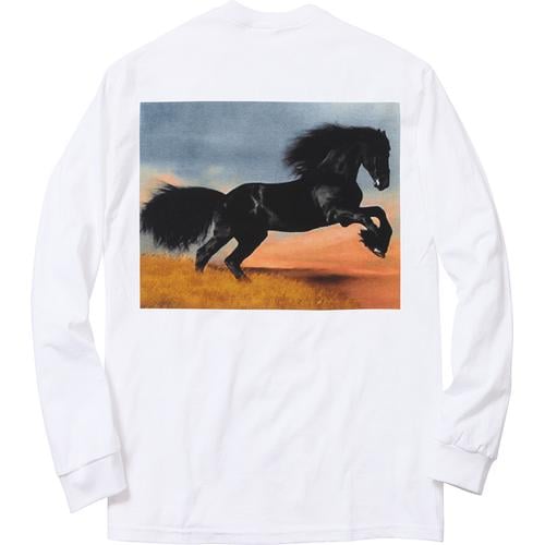 Details on Stallion L S Tee from fall winter
                                            2014