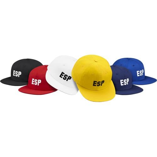 Details on ESP 6-Panel from fall winter 2015