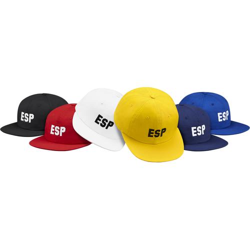 Supreme ESP 6-Panel for fall winter 15 season