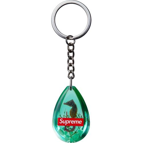 Details on Seahorse Keychain from fall winter
                                            2016