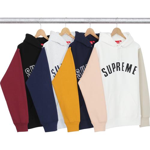 Details on Color Blocked Arc Logo Hooded Sweatshirt from fall winter
                                            2016