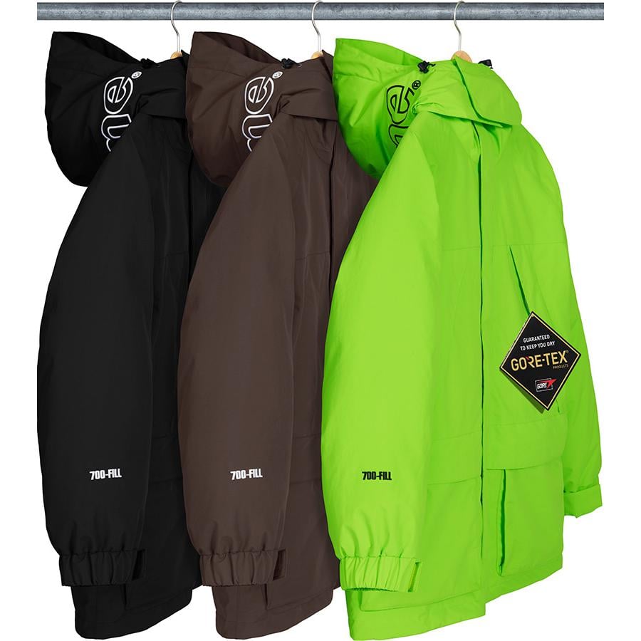 Details on GORE-TEX 700-Fill Down Parka from fall winter
                                            2018 (Price is $648)