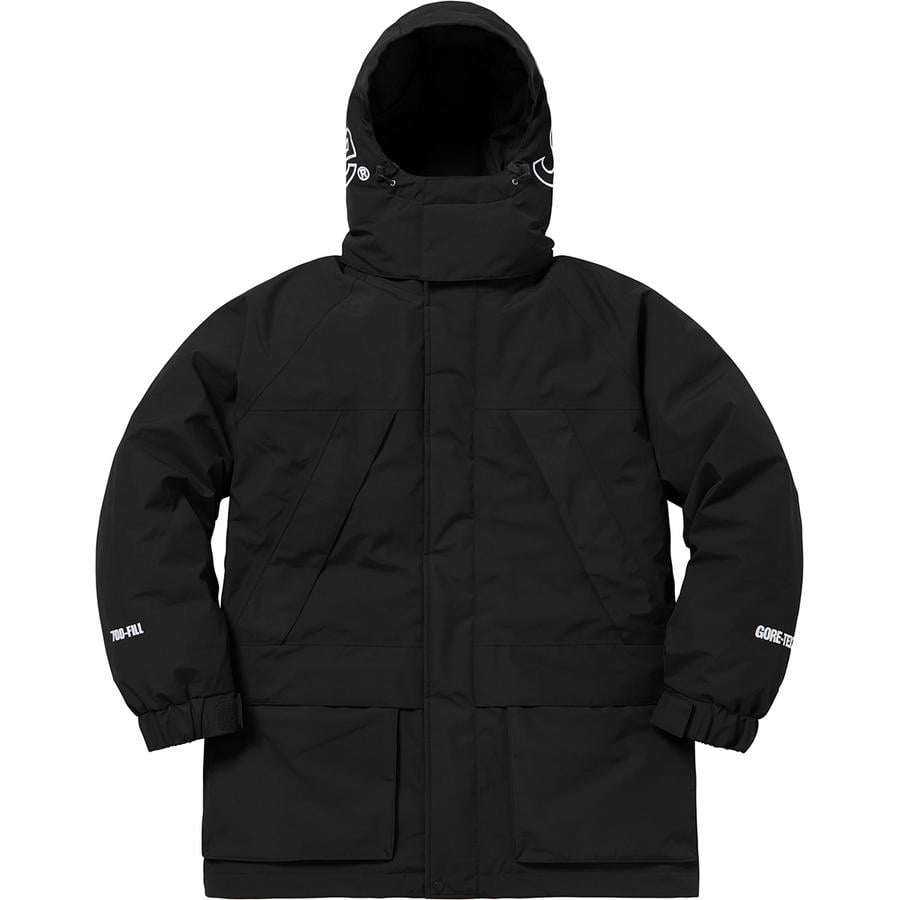 Details on GORE-TEX 700-Fill Down Parka  from fall winter
                                                    2018 (Price is $648)