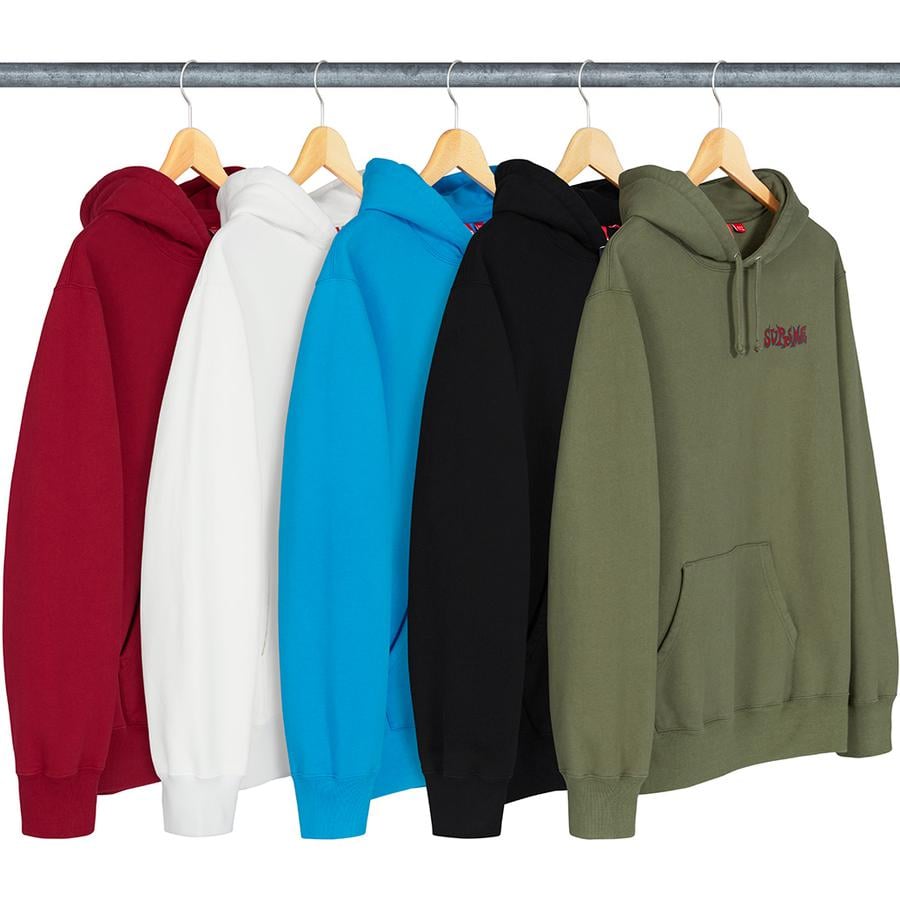 Details on Portrait Hooded Sweatshirt from fall winter
                                            2018 (Price is $158)