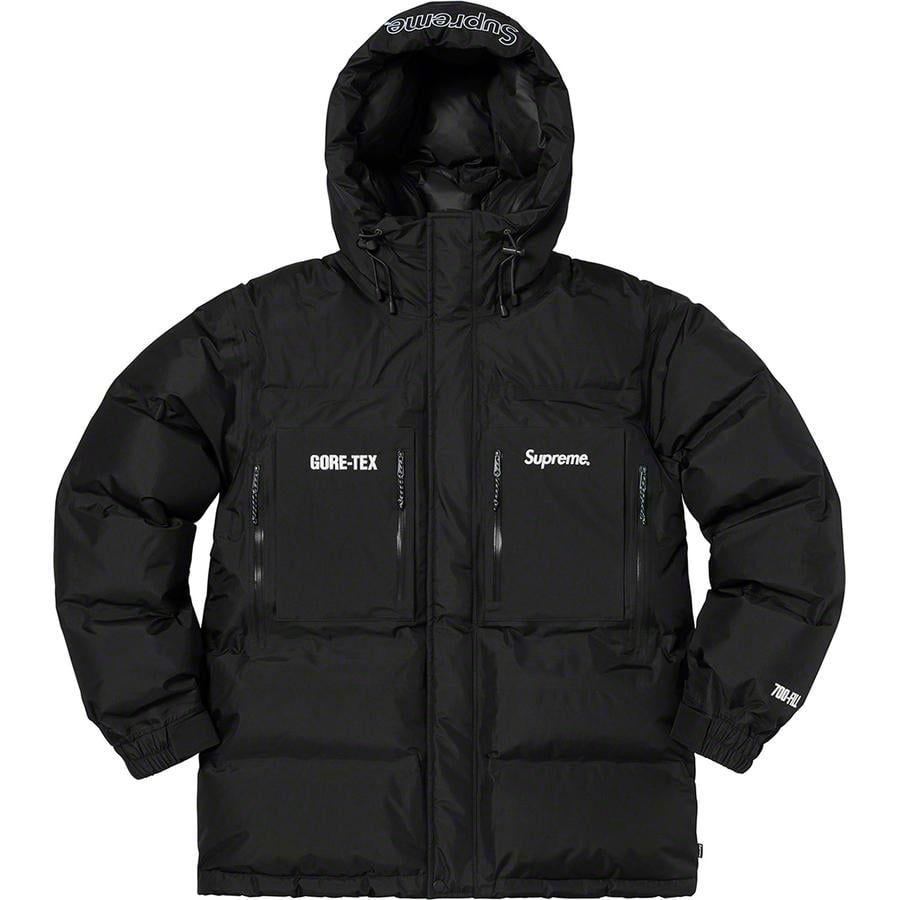 Details on GORE-TEX 700-Fill Down Parka  from fall winter
                                                    2019 (Price is $548)