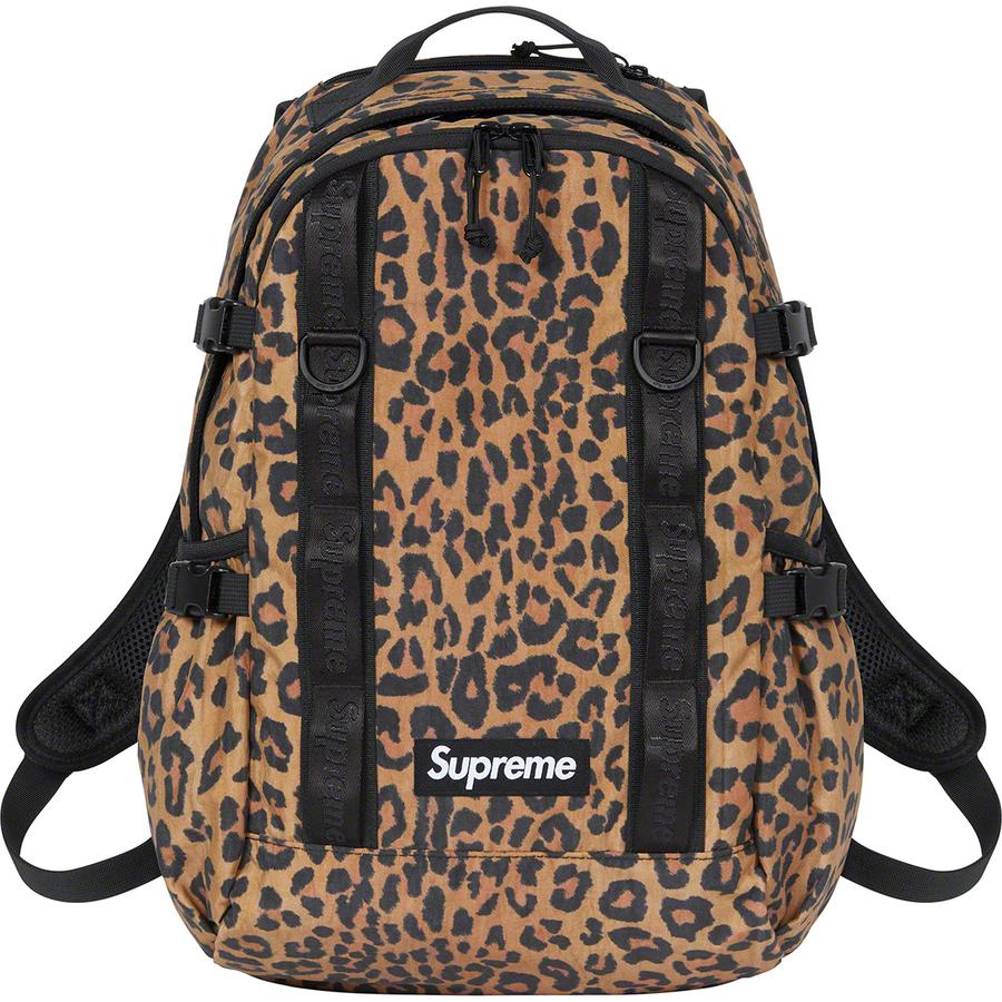 Details on Backpack  from fall winter
                                                    2020 (Price is $148)