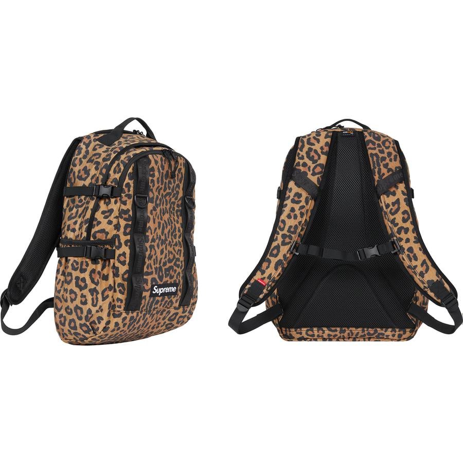 Details on Backpack  from fall winter
                                                    2020 (Price is $148)