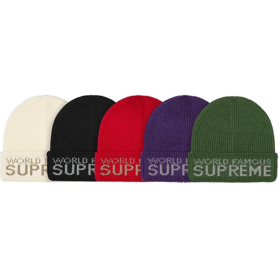 Details on World Famous Beanie from fall winter
                                            2020 (Price is $36)