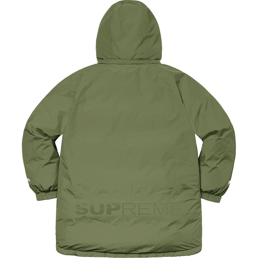 Details on GORE-TEX 700-Fill Down Parka  from fall winter
                                                    2020 (Price is $548)