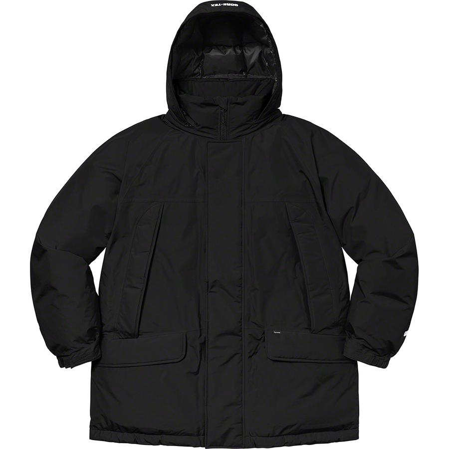 Details on GORE-TEX 700-Fill Down Parka  from fall winter
                                                    2020 (Price is $548)