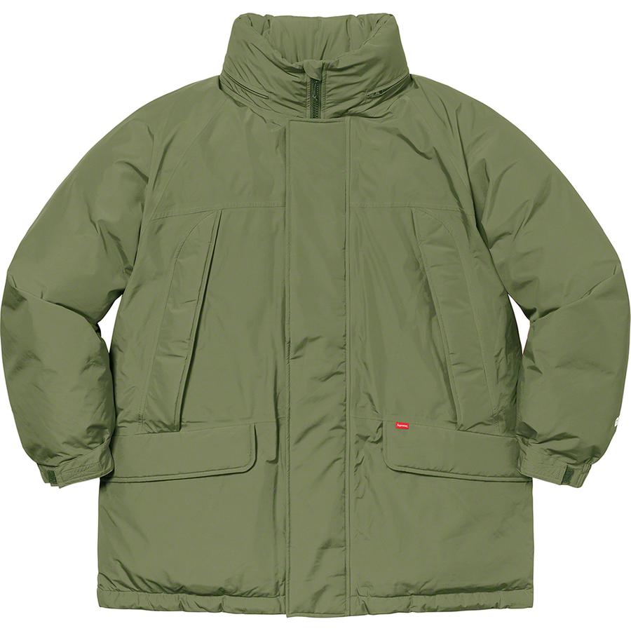 Details on GORE-TEX 700-Fill Down Parka  from fall winter
                                                    2020 (Price is $548)