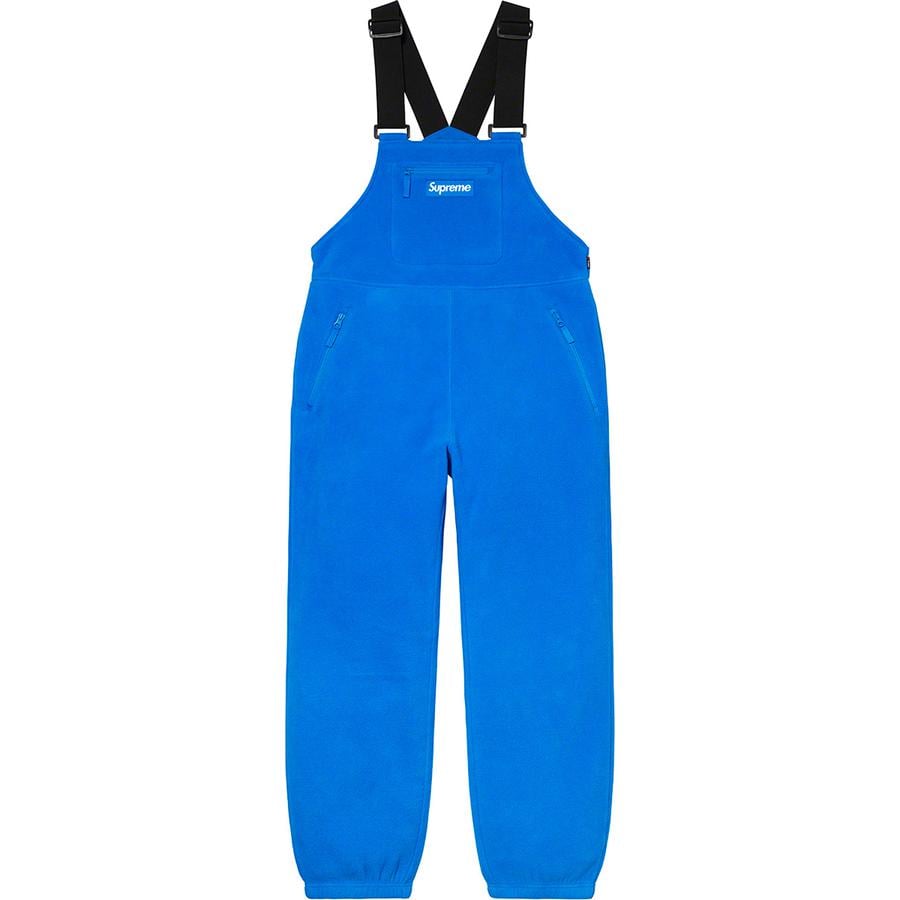 Details on Polartec Overalls  from fall winter
                                                    2020 (Price is $168)