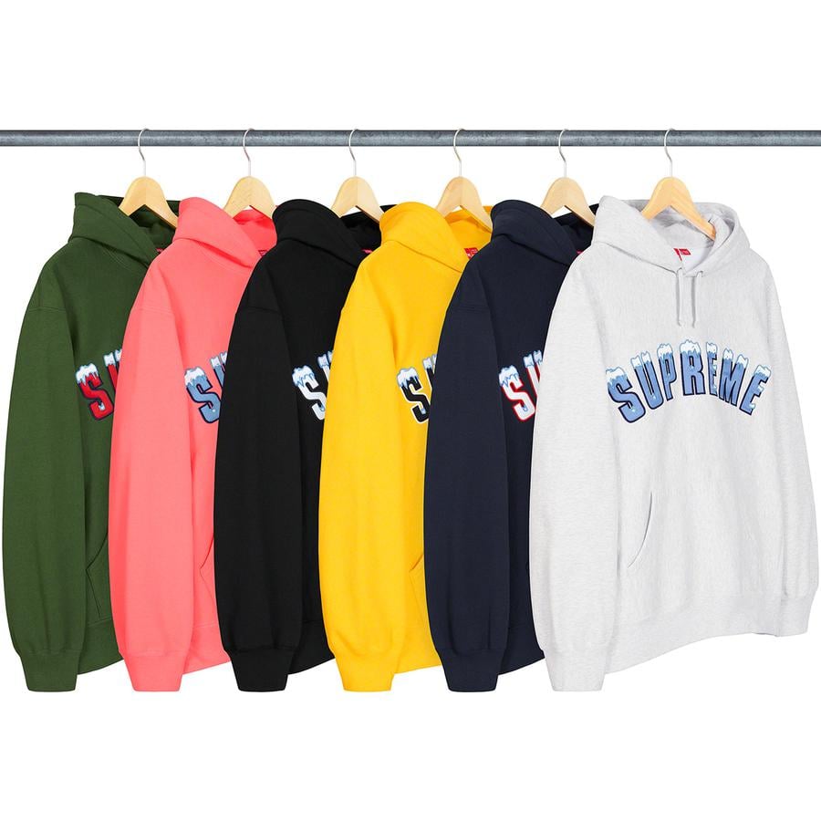 supreme  20 FW Icy Arc Hooded Sweatshirt