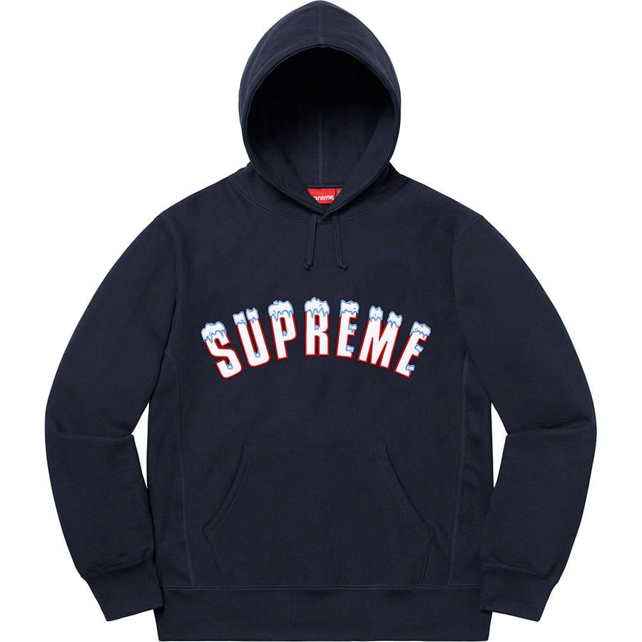 Details on Icy Arc Hooded Sweatshirt  from fall winter
                                                    2020 (Price is $168)