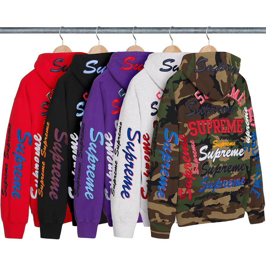 Details on Multi Logo Hooded Sweatshirt from fall winter
                                            2021 (Price is $168)